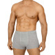 Трусы мужские DEN REY B3003 boxers серый меланж