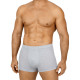 Трусы мужские DEN REY B3005 boxers серый