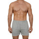 Трусы мужские DEN REY F5003 short серый меланж
