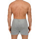 Трусы мужские DEN REY F5003 short серый меланж