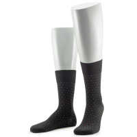 Носки мужские SERGIO di CALZE 20SC1 cotton mercerized